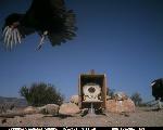 CondorCam Image 09/10/06