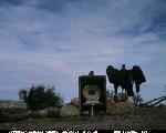 Pinnacles CondorCam Image
