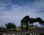 Pinnacles CondorCam Image