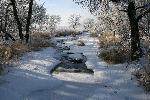 White Winter