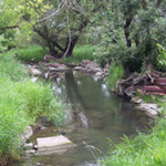 A view of Pipestone Creek