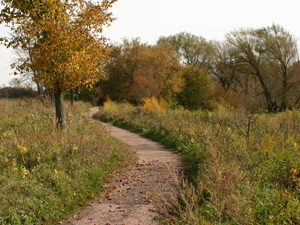 Circle Trail