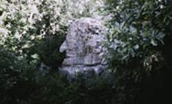 Oracle rock formation