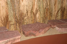 Petroglyph rocks in the new display