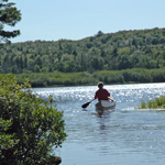 A visitor glides his canoe in the Beaver Basin.