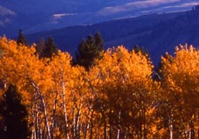 Magnificent fall color and mountains at this National Park invite you to Experience Your America.