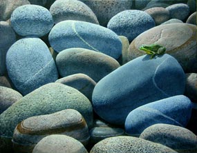 This painting by John Agnew, entitled Looking for the Shore, garnered the Grand Prize in the 2007 Paint the Parks competition. It depicts a green frog on beach stones in Pictured Rocks National Lakeshore.