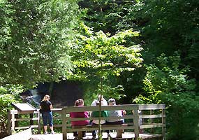 Visitors rest on the bench overlooking Munising Falls.