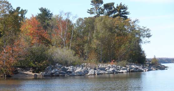 Sand Point beach with revetment, taken in the fall of 2010.