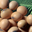 Soybeans are a source of renewable enegy.