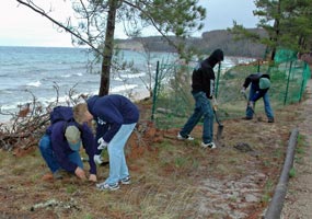 Students from Munising High School volunteer to maintain the trail along Miners Beach. Students from Munising High School volunteer to maintain the trail along Miners Beach.