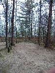 Twelvemile Beach Campground campsite 1 - 46 feet