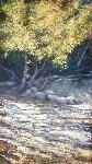 Art Hurricane River - Phil Kryzminski