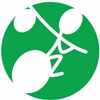 gree and white logo for the Disabled Traveler website