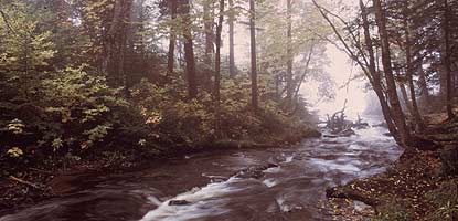 Morning along the Mosquito River in the backcountry at Pictured Rocks National Lakeshore.