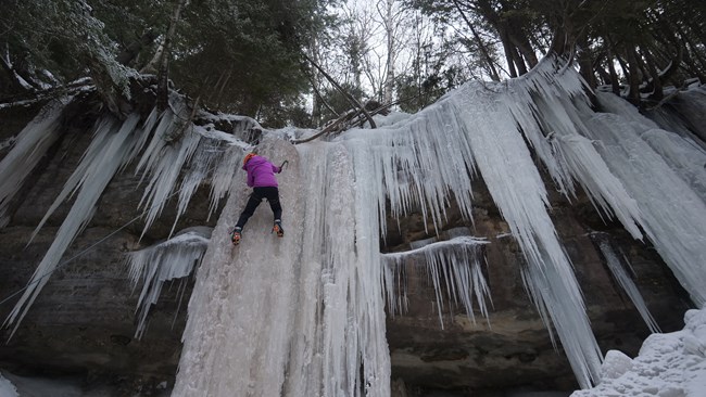 A person in a purple jacket climbs an ice curtian.