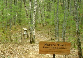 The White Birch Nature Trail begins at Twelvemile Beach Campground. The White Birch Nature Trail begins at Twelvemile Beach Campground.