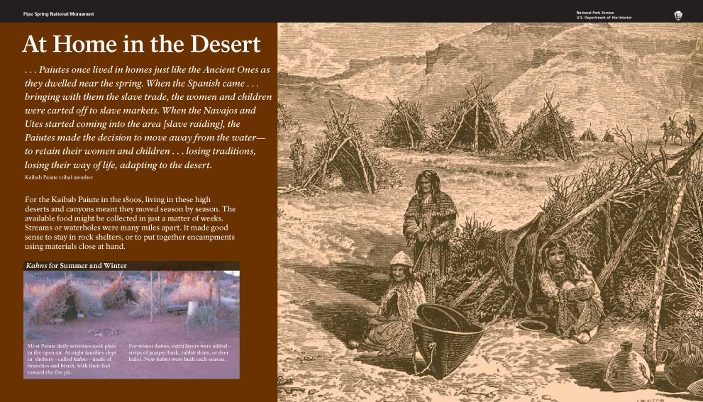 At Home in Desert
