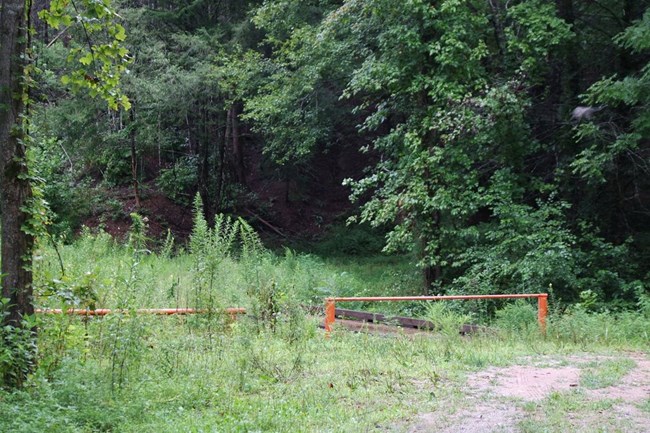 This is the beginning of the trail from the parking area. The trail crosses the bridge and goes to the right.