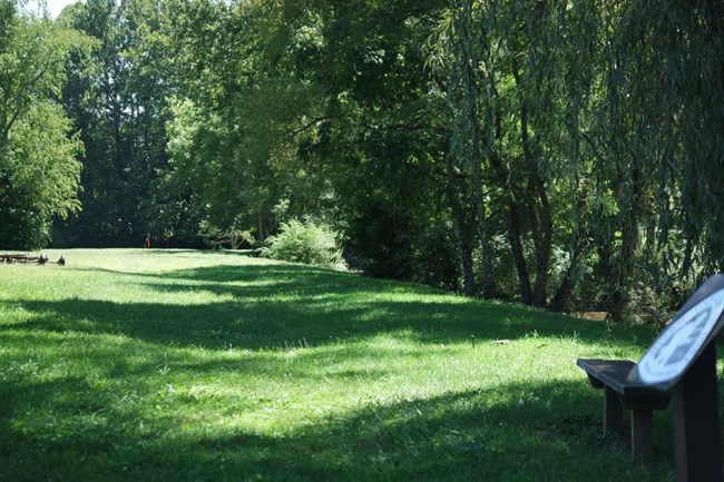 Roan Mountain Community Park Trail