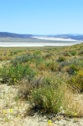 Eight Mile Flat on the Nevada portion of the Pony Express NHT.