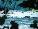 Potomac River