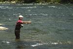 Flyfishing in the Potomac
