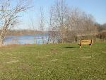 Bench by the River