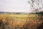 Fields in Maryland