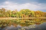 River with Sun
