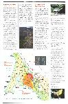 Vision Fire: Burning Issues Newsletter page 3