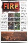 Vision Fire: Burning Issues Newsletter page 1