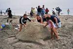 2003 Sand Sculpture Contest Entry #Sea Turtle