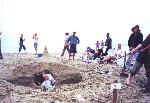 2003 Sand Sculpture Contest Entry #04