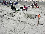2007 Family Group Honorable Mention: Beach Bunny