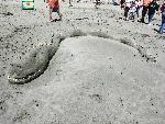 2007 Family Group Honorable Mention: Sea Serpent