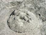 2002 Unidentified Sculpture #4