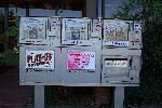 Fire Education photo 08: Newspaper Inserts