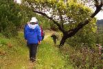 Fire Education photo 02: Oak Survivor