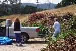 WUI photo 15: Olema Chipping Program