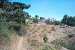 WUI photo 11: Panoramic Pines Debris Piles