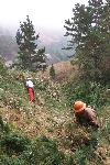 WUI photo 10: Panoramic Pines Work in Progress