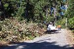 WUI photo 03: Fuel Removal