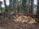MFR photo 09: Firewood from Eucalyptus