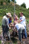 Fire Ecology photo 15: Sediment Coring