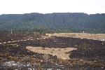 Prescribed Fire photo 16: Fuel Break and Research