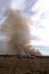 Prescribed Fire photo 14: Convection Column