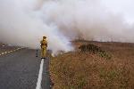 Prescribed Fire photo 13: Smoke with Poor Dispersi