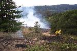 Prescribed Fire photo 12: Mop-Up