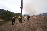 Prescribed Fire photo 10: Fuel Mitigation